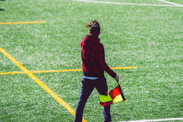 介绍了日本 介绍了日本