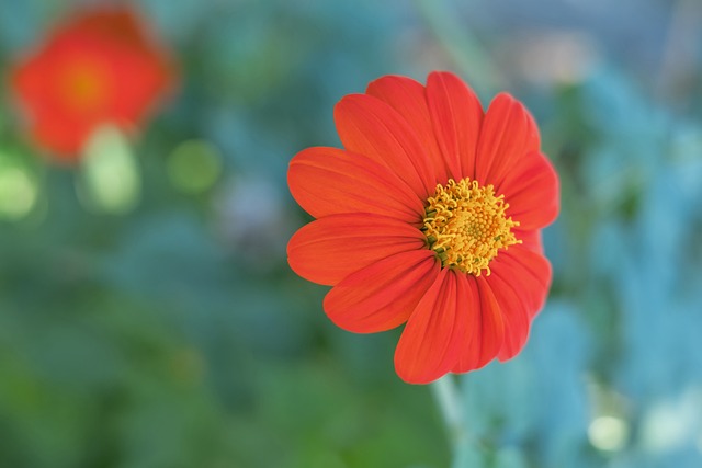 了对足球的 了对足球的