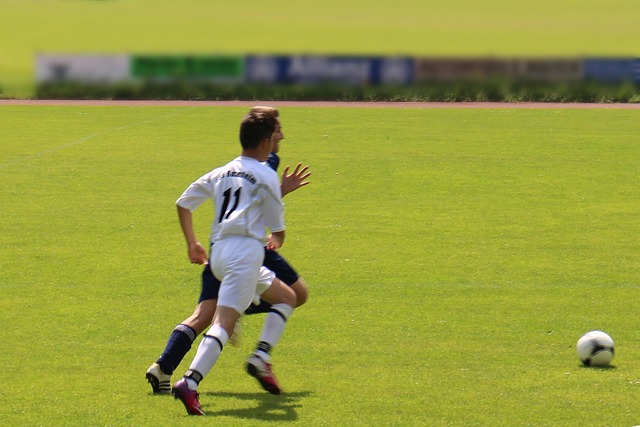 本土企业的 本土企业的