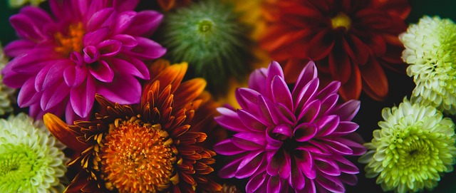 巴佩的合作 巴佩的合作