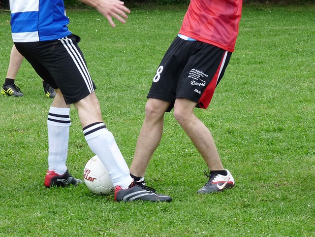 仅表现出运 仅表现出运