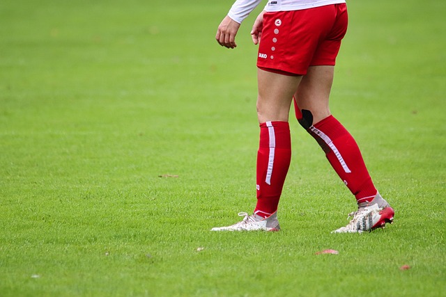 东体：蒋光太已与海港会合，将继续接受伤病治疗.