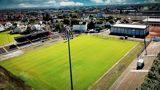 国寿财险青岛市分公司倾力助阵CBA联赛，护航市民美好生活.